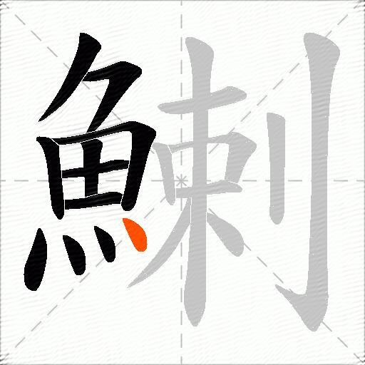 鯻
