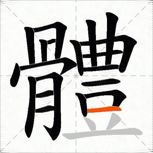 體