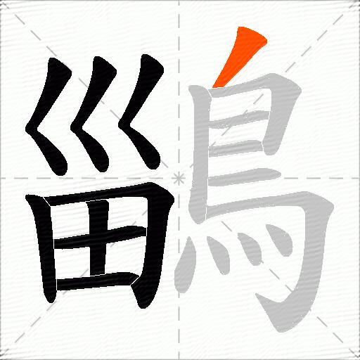鶅