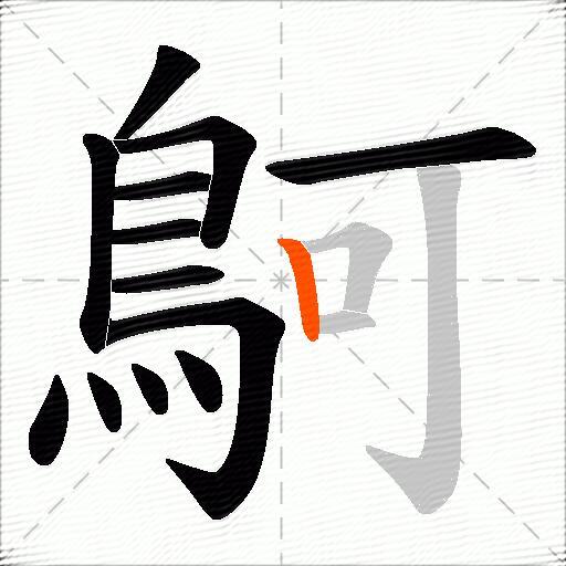 鴚