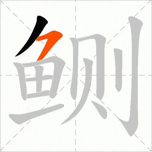鲗