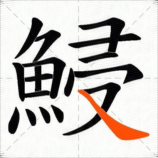 鮼