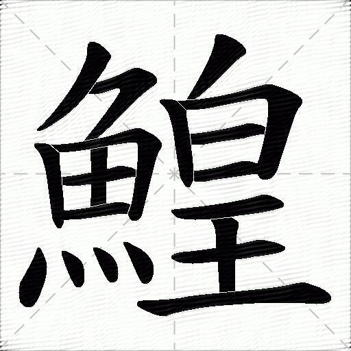 鰉