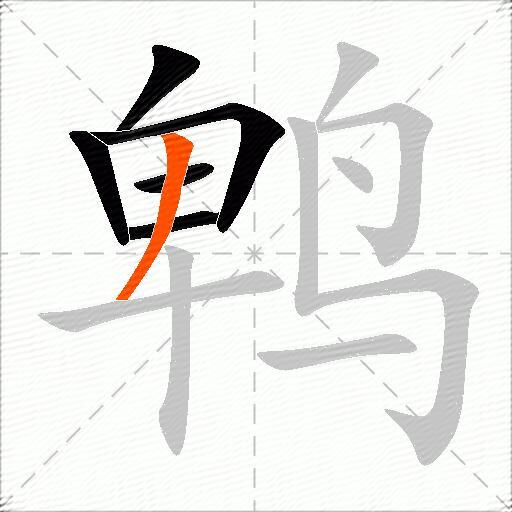 鹎