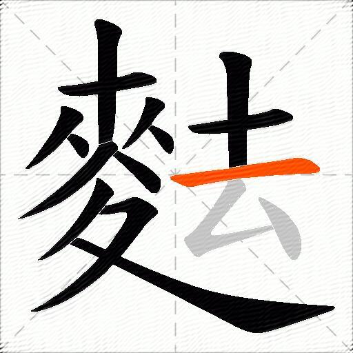 麮