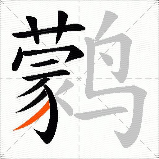 鹲