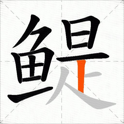 鳀
