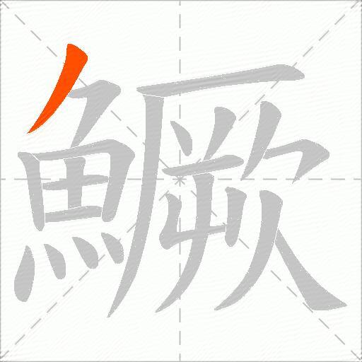 鱖
