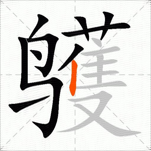 鹱