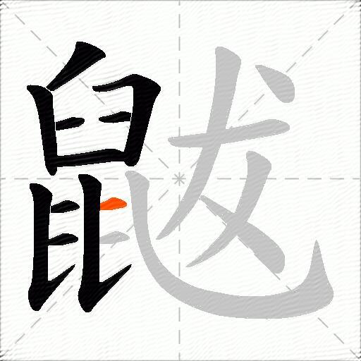鼥
