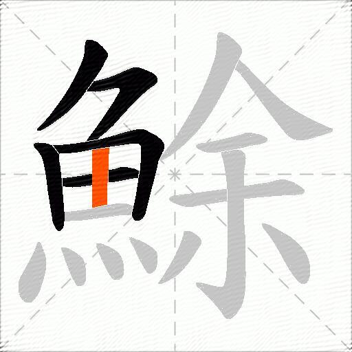 鮽