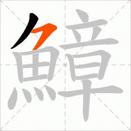 鱆