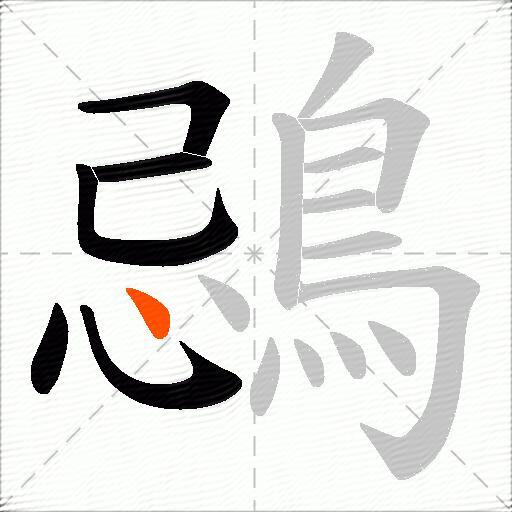 鵋