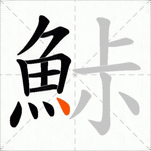 鮛
