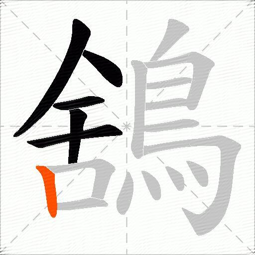 鵨