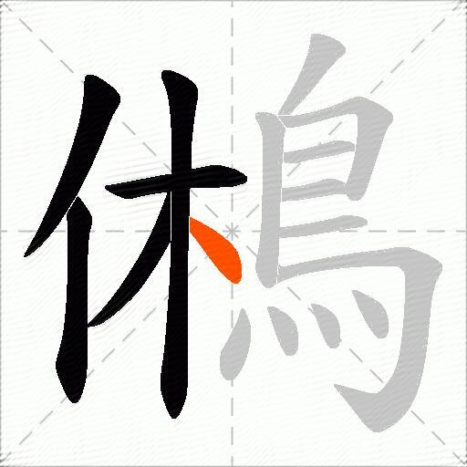 鵂