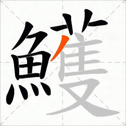鱯