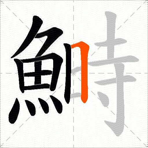 鰣