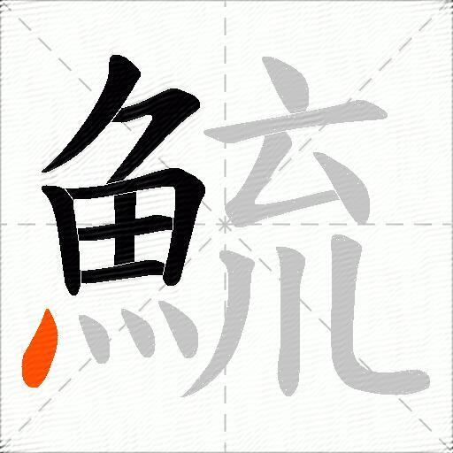 鯍