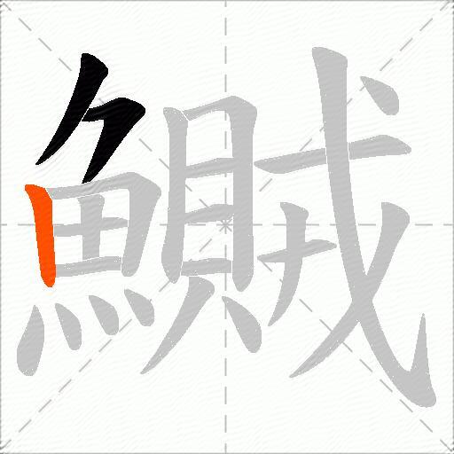 鱡
