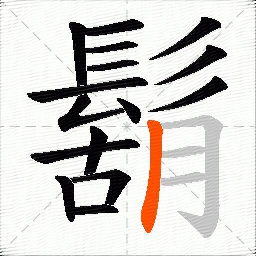鬍