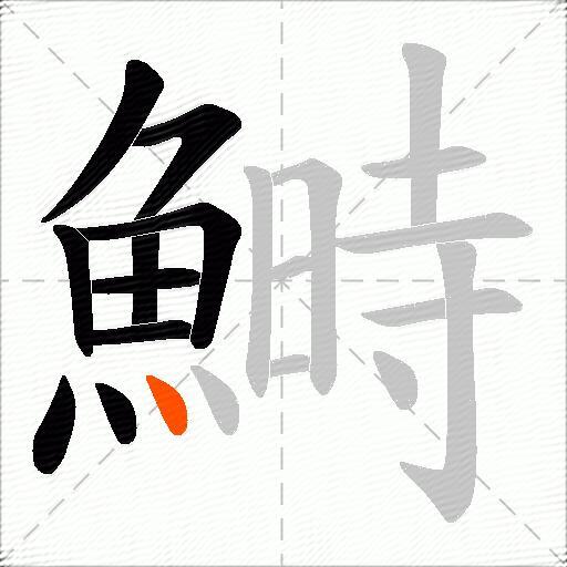 鰣