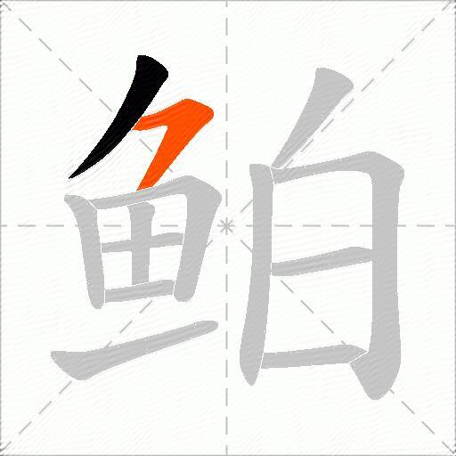 鲌