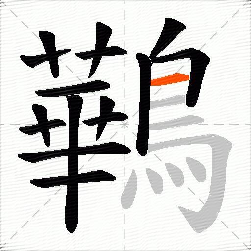 鷨