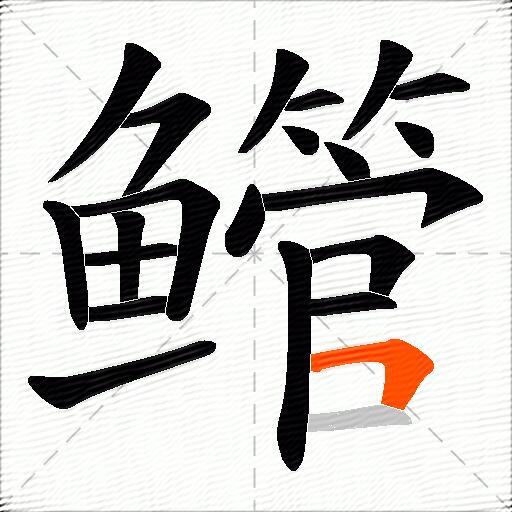 鳤