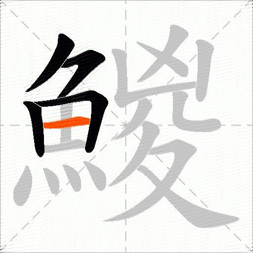 鯼