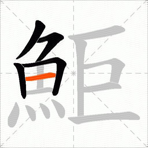 鮔