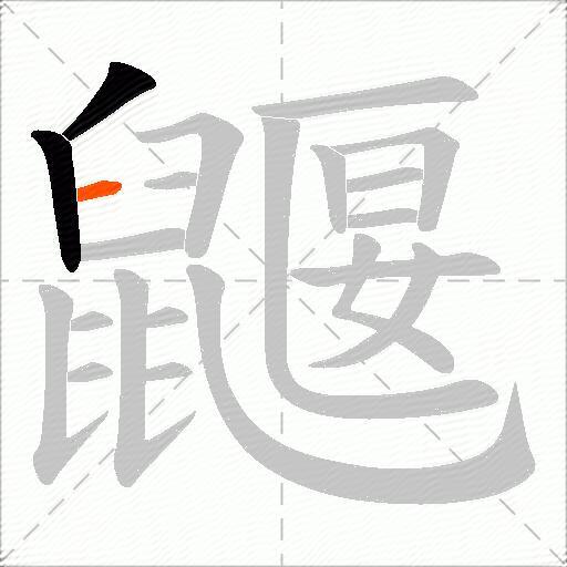 鼴