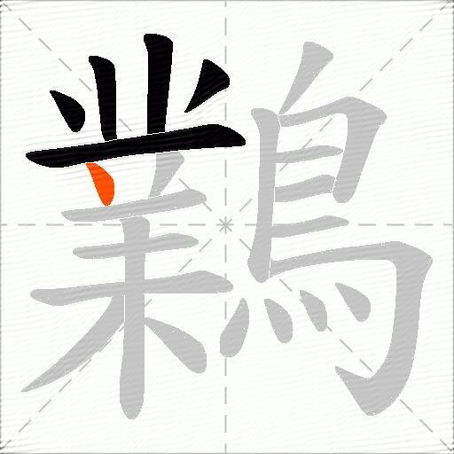 鸈