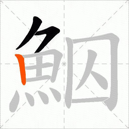 鮂