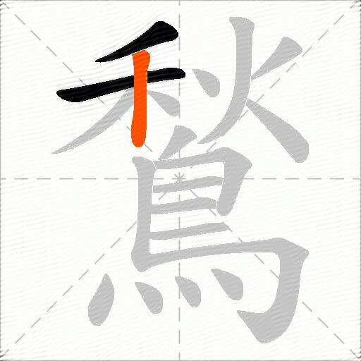 鶖