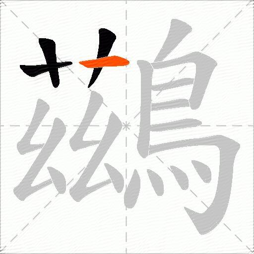 鷀