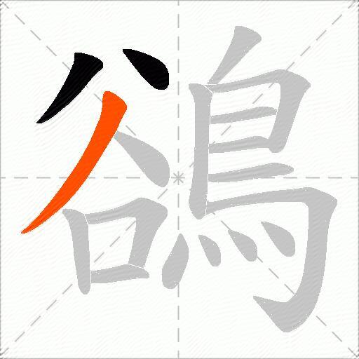 鵒