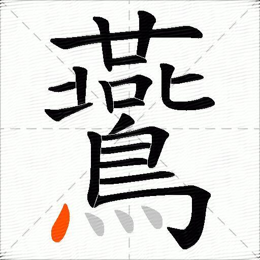 鷰