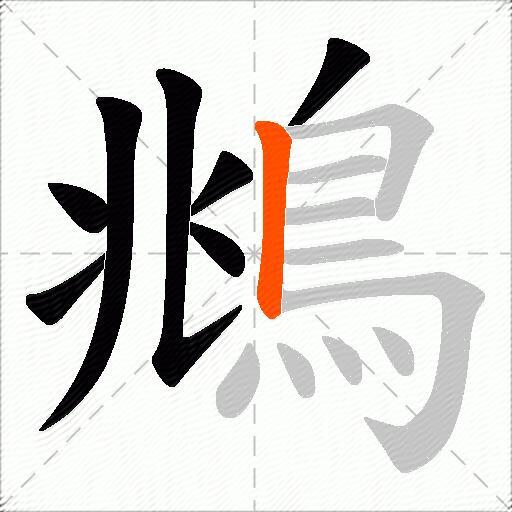 鴵