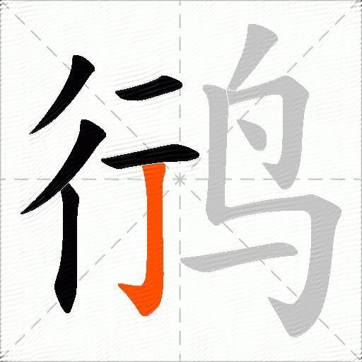 鸻