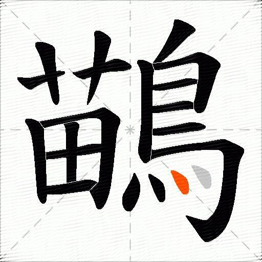 鶓