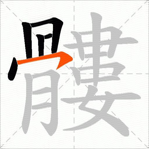 髏