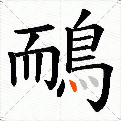 鴯