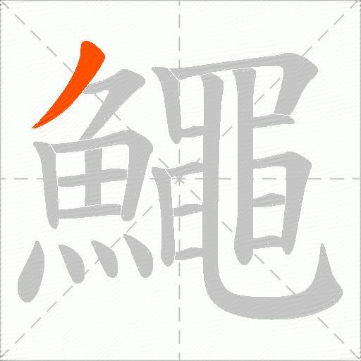 鱦