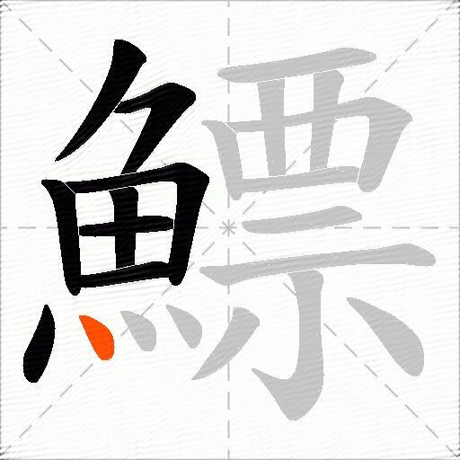 鰾