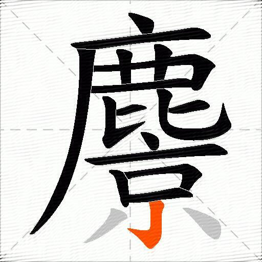 麖