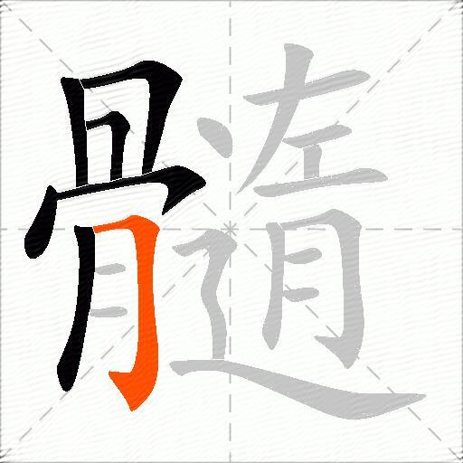 髓