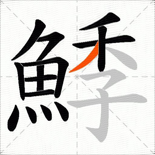 鯚