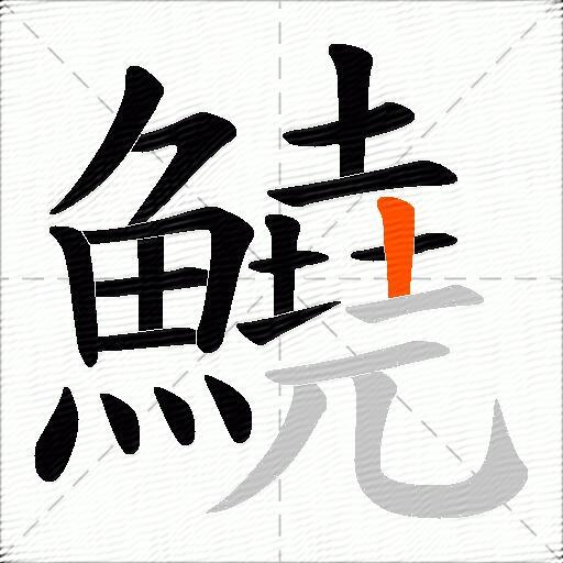 鱙