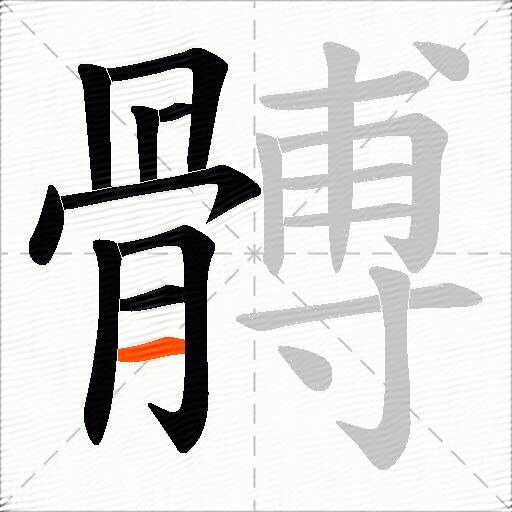 髆